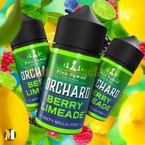 Berry-Limeade-Mock-Up (3) جویس میکس بری لیمو فایو پانز <br><span>Five Pawns Berry Limeade</span> - Image 3