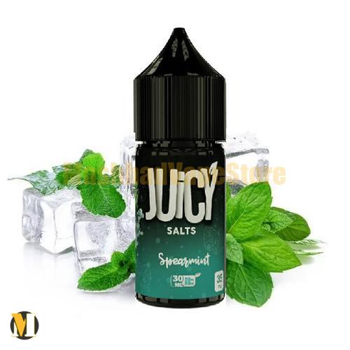 Juicy Salts Spearmint 30ml (2) سالت نعناع یخ جوسی <br><span>Juicy Salts Spearmint 30ml</span> - Image 1
