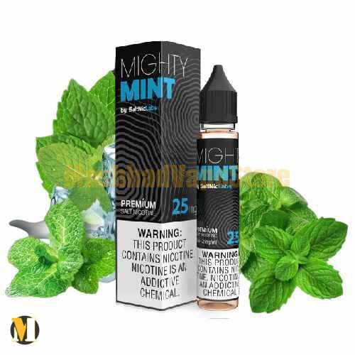 Vgod Mighty Mint SaltNic 30ml (1) سالت نعناع یخ ویگاد <br><span>Vgod Mighty Mint SaltNic 30ml</span> - Image 1