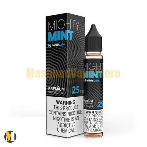 Vgod Mighty Mint SaltNic 30ml (2) سالت نعناع یخ ویگاد <br><span>Vgod Mighty Mint SaltNic 30ml</span> - Image 2